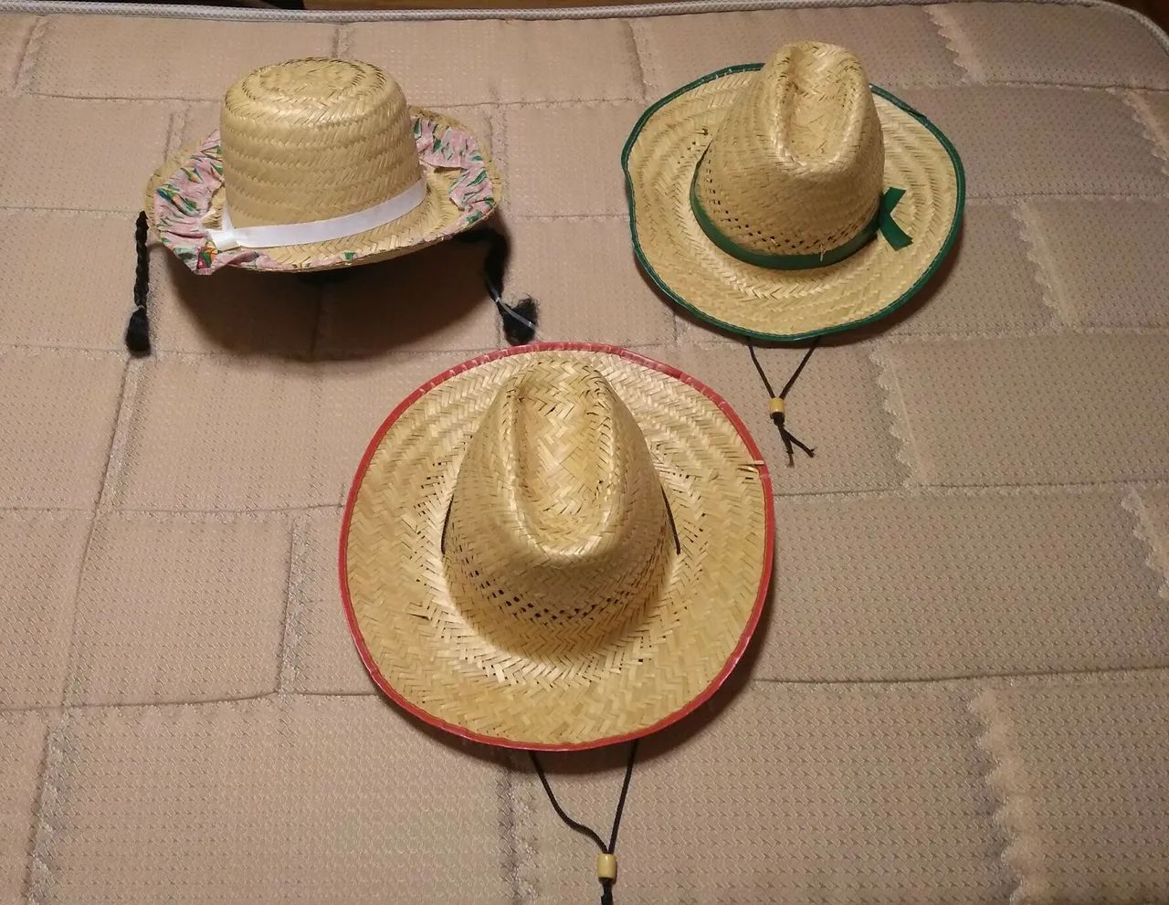 Kit com  12 Chapéus de Palha, Feltro e Fibra - Seminovos - Foto 5