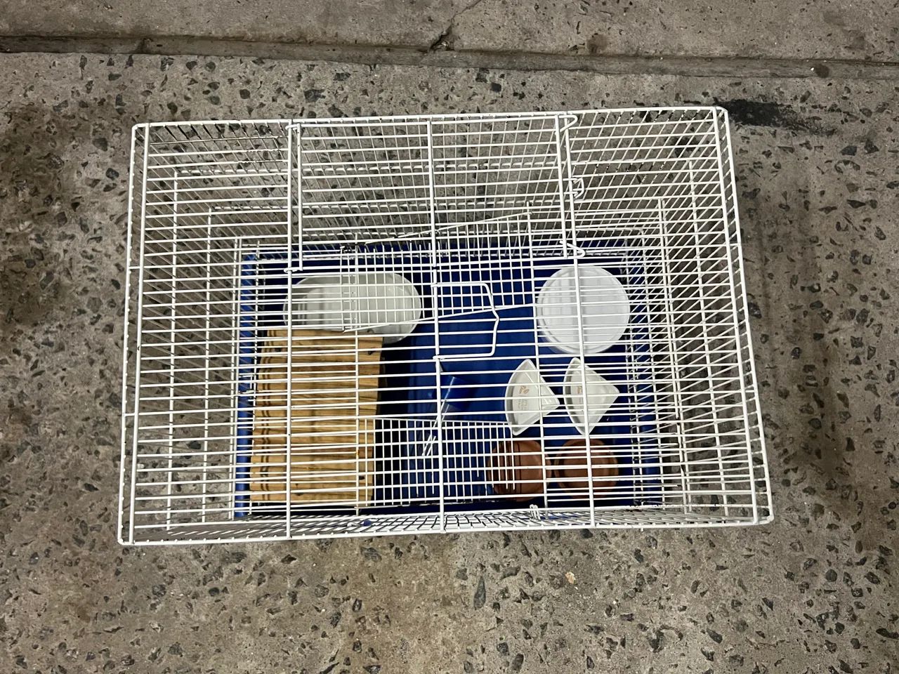 Gaiola para rato twister - Foto 3