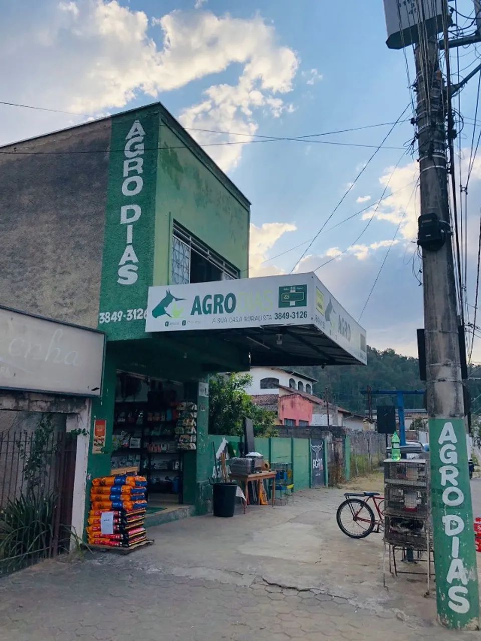 Hamster-Anão-Branco - Foto 4