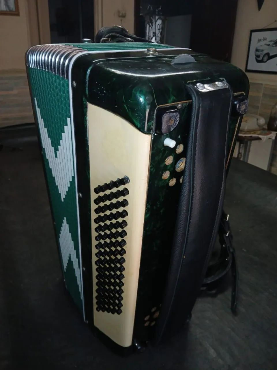 Acordeon Verde - Foto 2