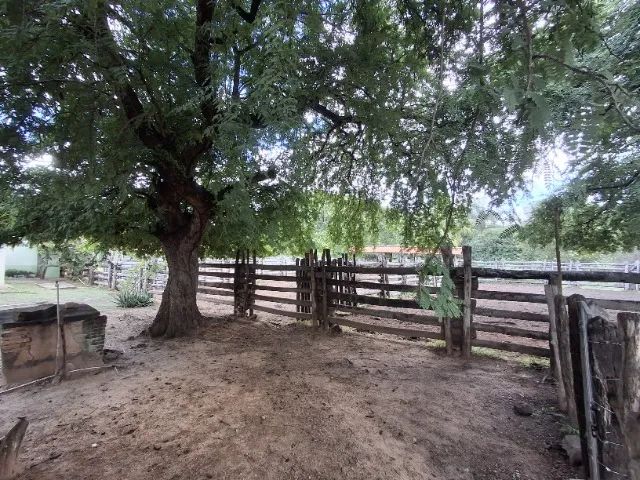 Fazenda a Venda - Foto 5