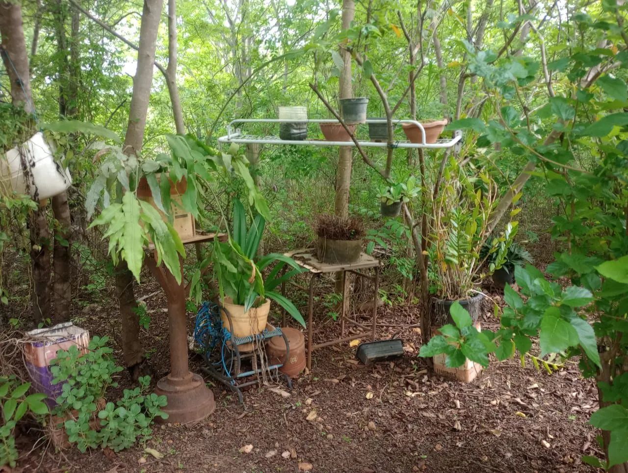 Chácara a 35 km de moc - Foto 4