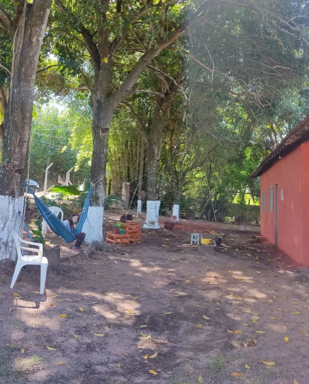 CHÁCARA CARDOSO - Foto 4