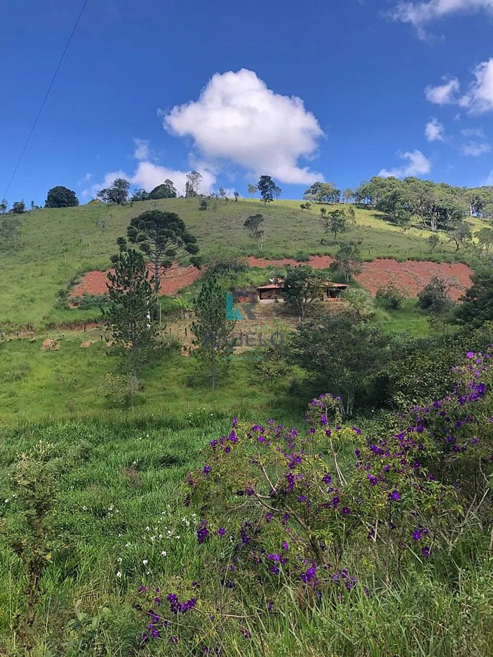 CHÁCARA FORMADA COM ACESSO FÁCIL EM CUNHA-SP - Foto 2