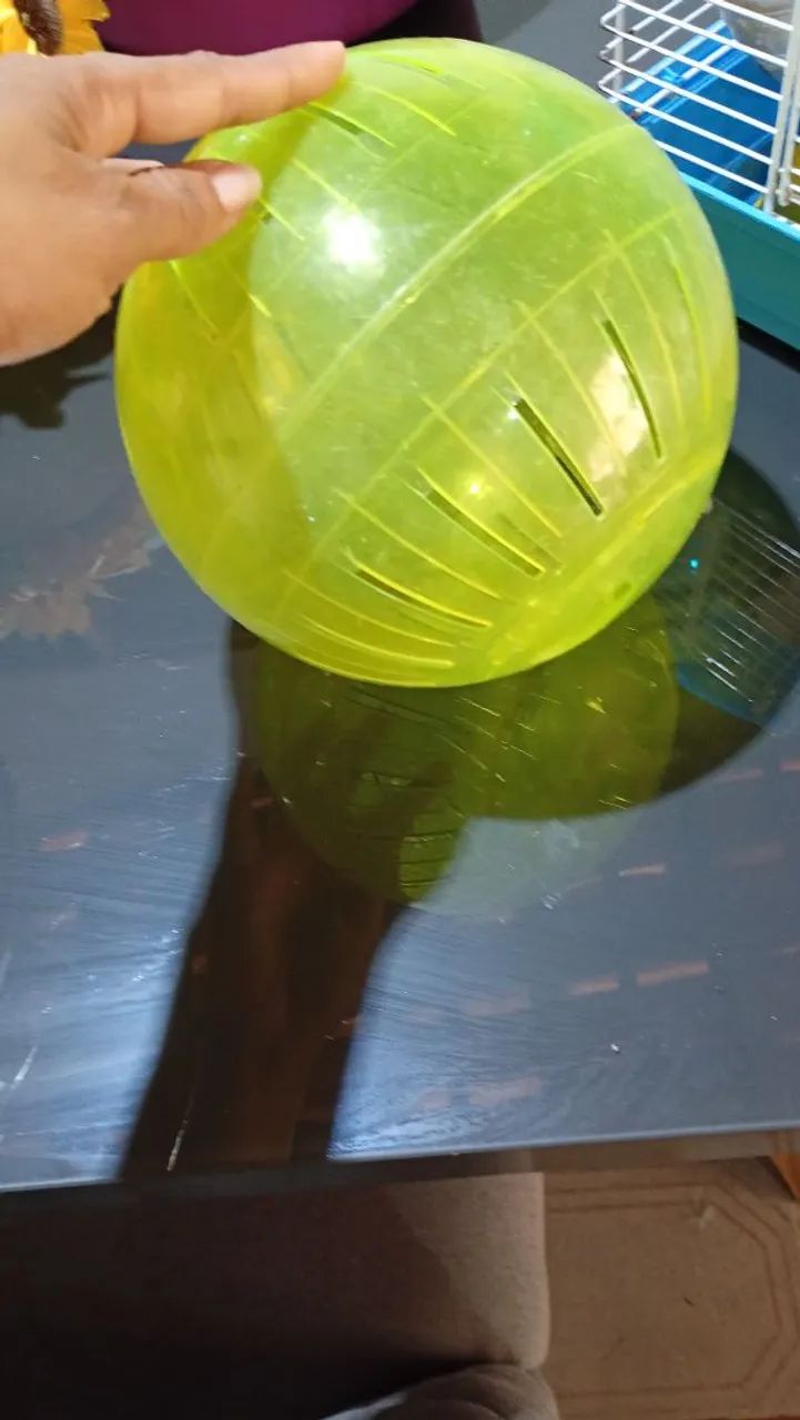 Gaiola pra ramister com bola - Foto 3