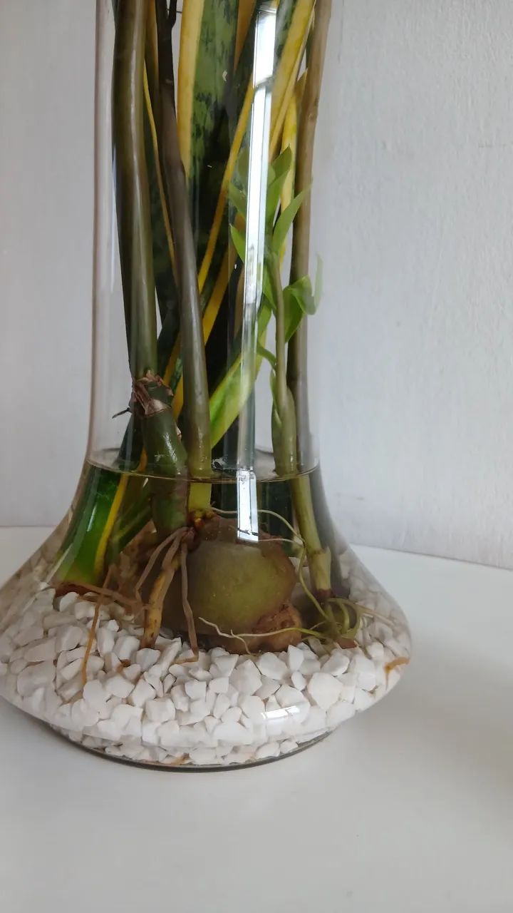 Vaso de vidro  - Foto 2