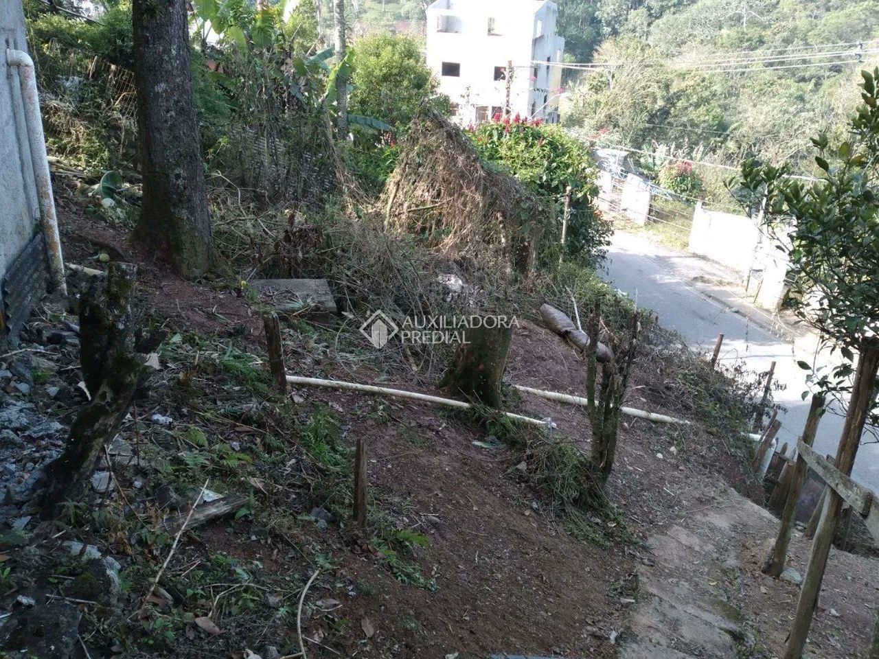 TERRENO - RIACHO GRANDE - SÃO BERNARDO DO CAMPO - Foto 5