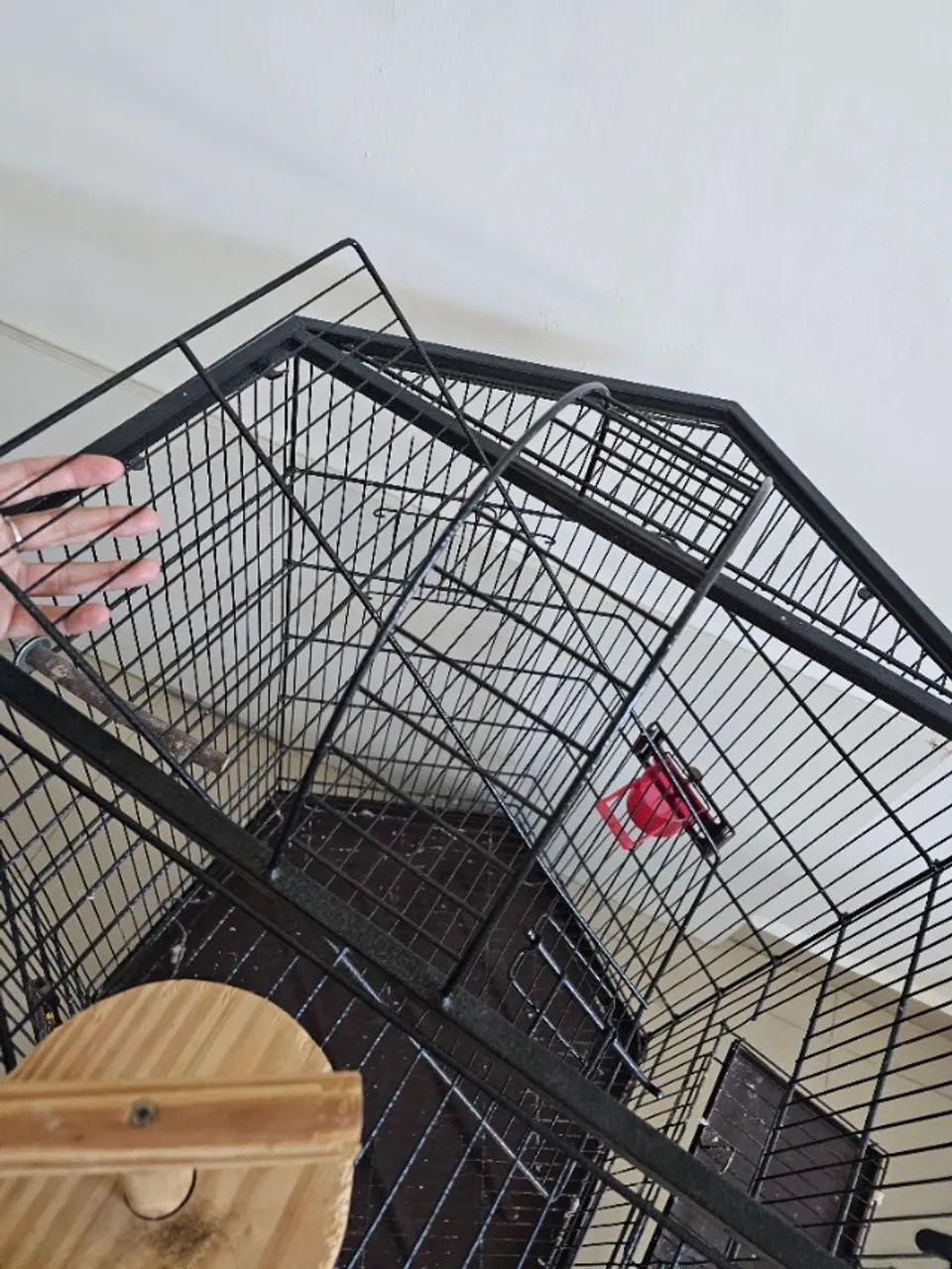 GAIOLA 6 LADOS - Foto 4