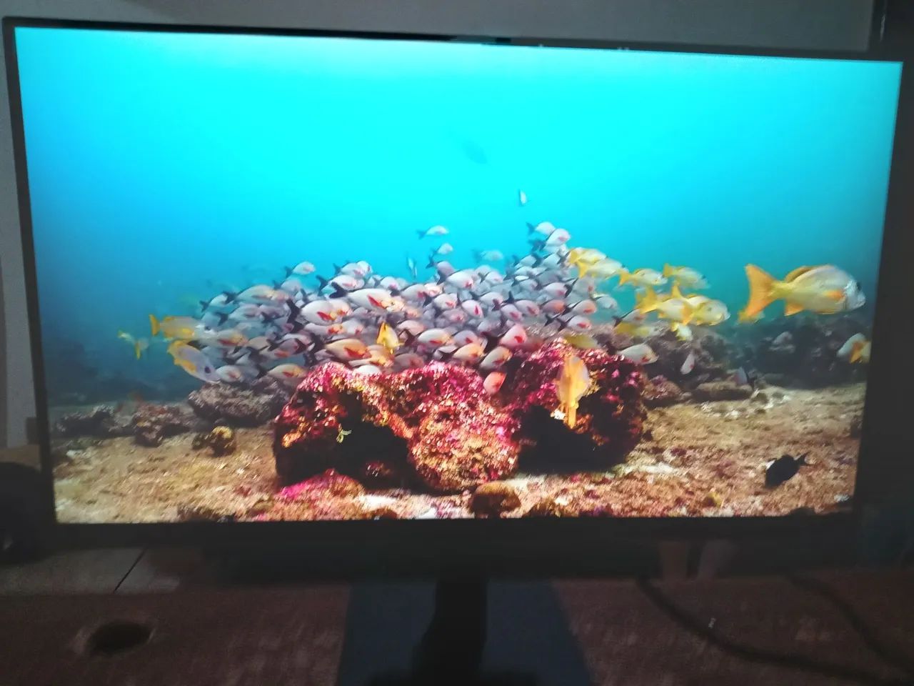 Monitor Gamer Samsung S3 Full HD 120 Hz 2 HDMI 24 Polegadas Ips Semi Novo - Foto 3