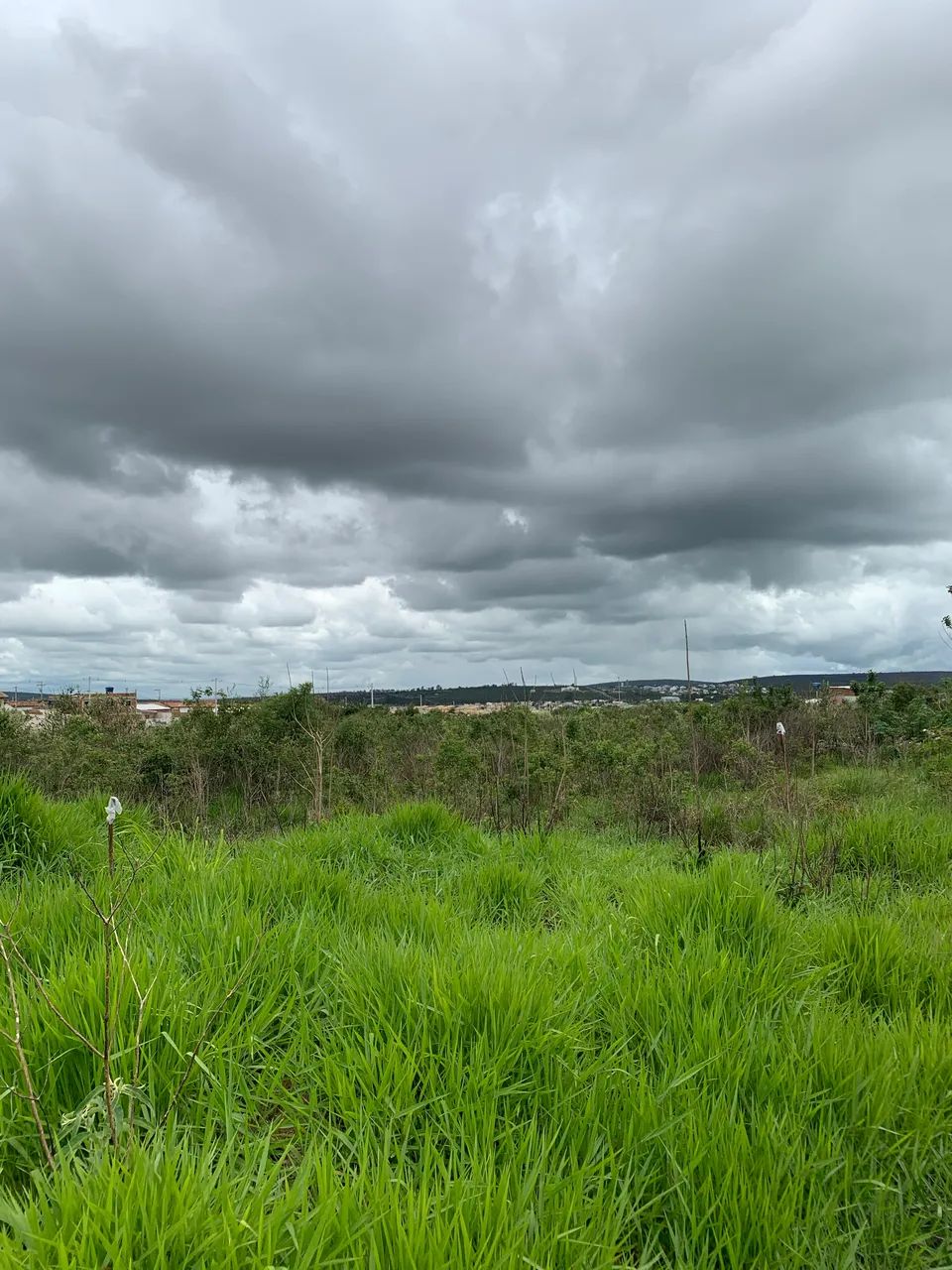 Terreno Jorge Teixeira