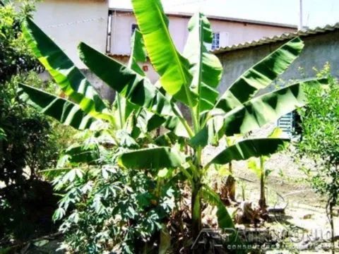 TERRENO, Bairro Bela Vista - Foto 4