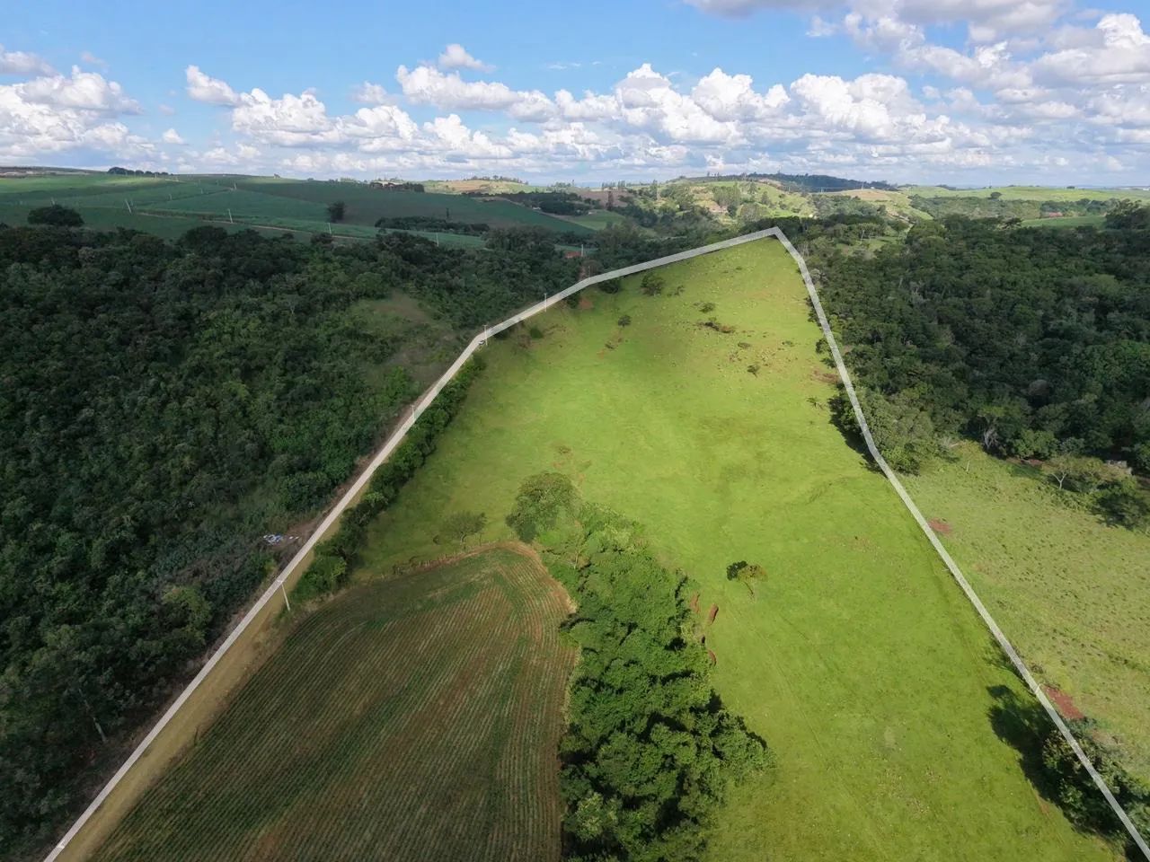 Sítio de 7 Alqueires em Jandaia do Sul  - Foto 3