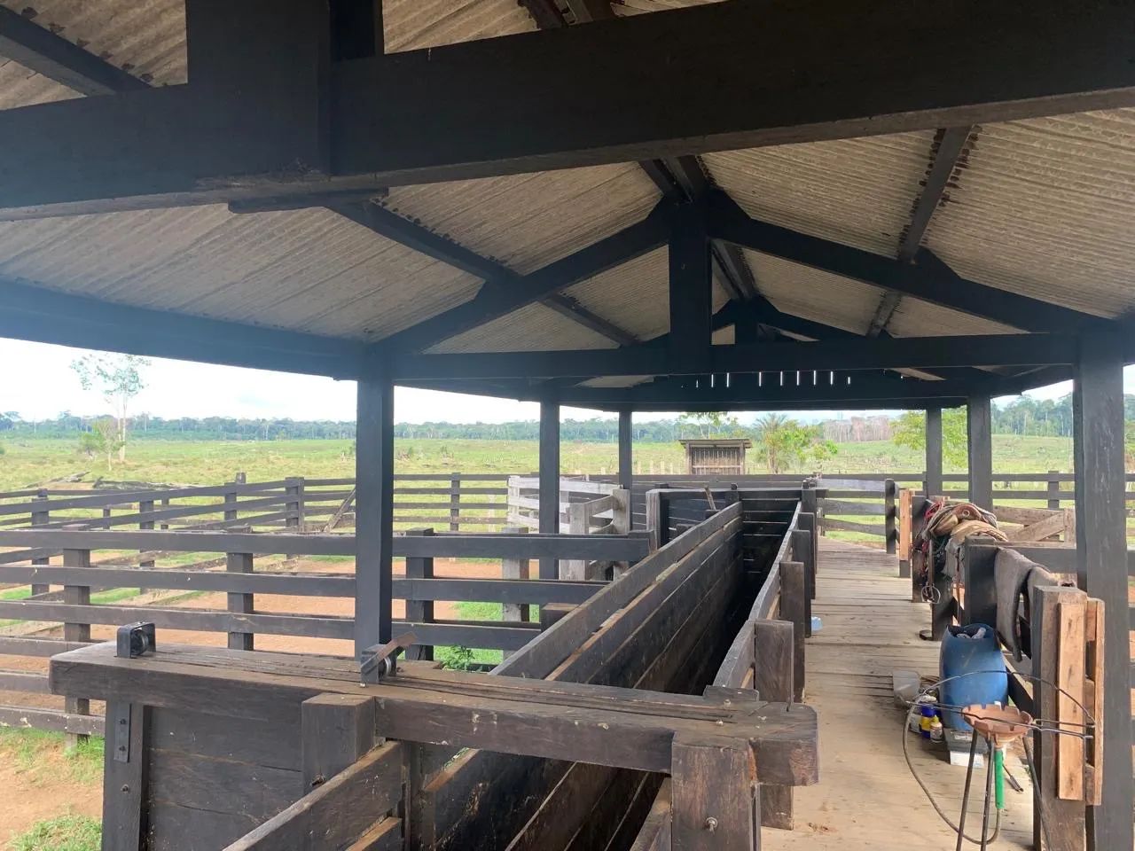 FAZENDA A VENDA EM CAROEBE RR - Foto 4
