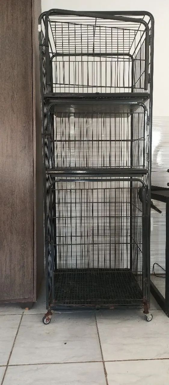 Canil/gatil gaiola vertical para pet shop