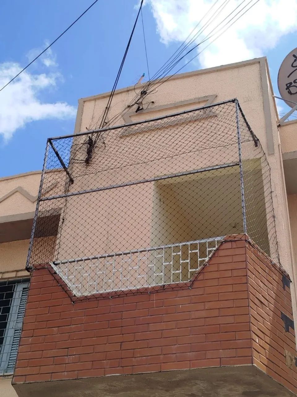 Proteção para pets  - Foto 4