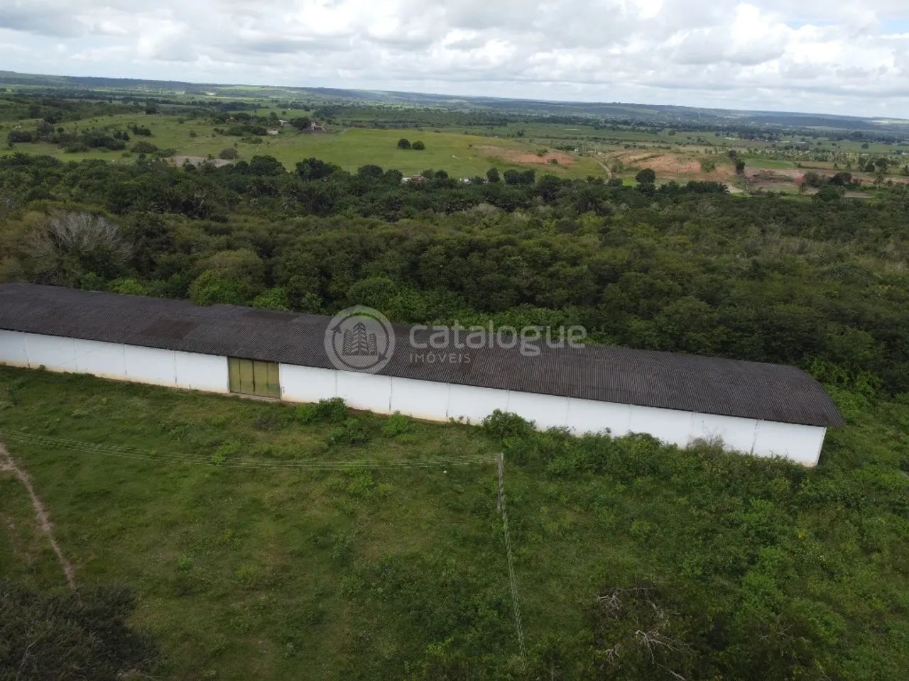 Fazenda 345 Hectares - Foto 5