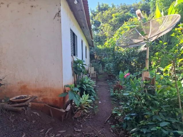 Chácara 5100m² Próximo a Ivaiporã PR, acesso com estrada pavimentada. - Foto 3