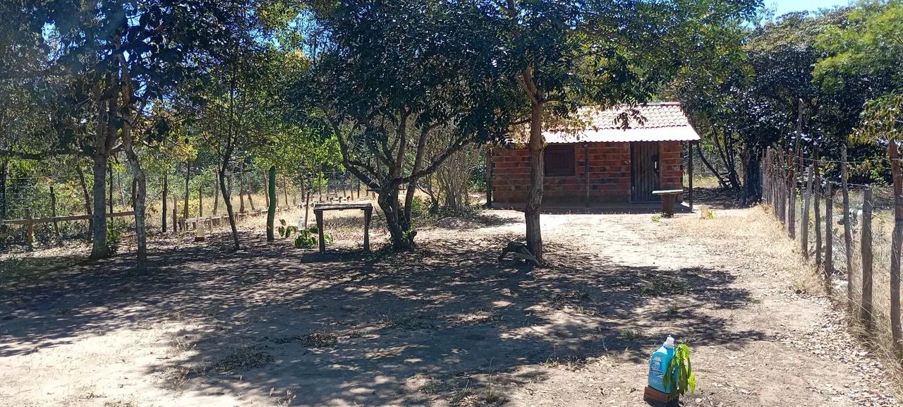 Sítio na chapada do Araripe - Foto 2