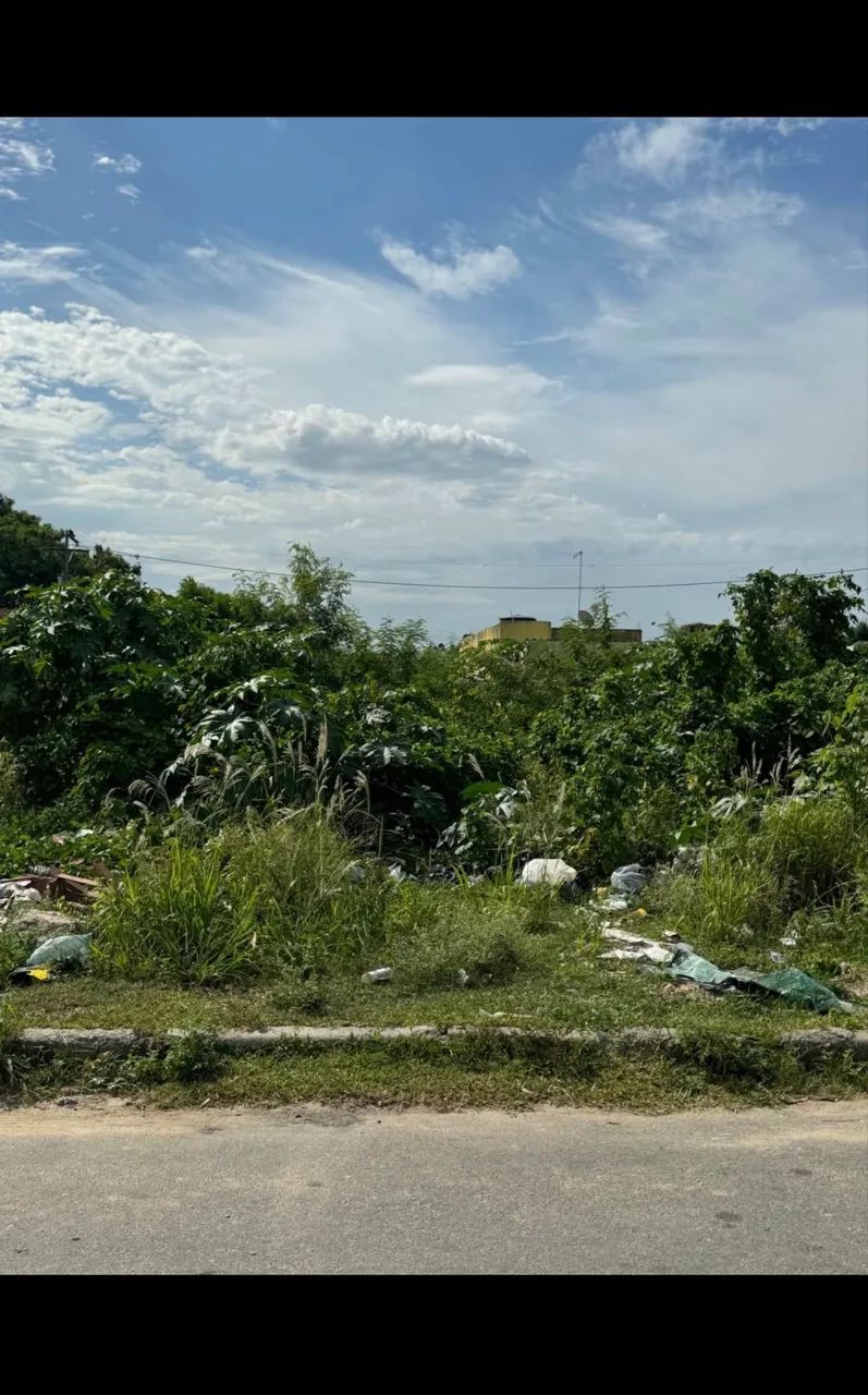 Foto - Campos dos Goytacazes - Parque Novo Jockey