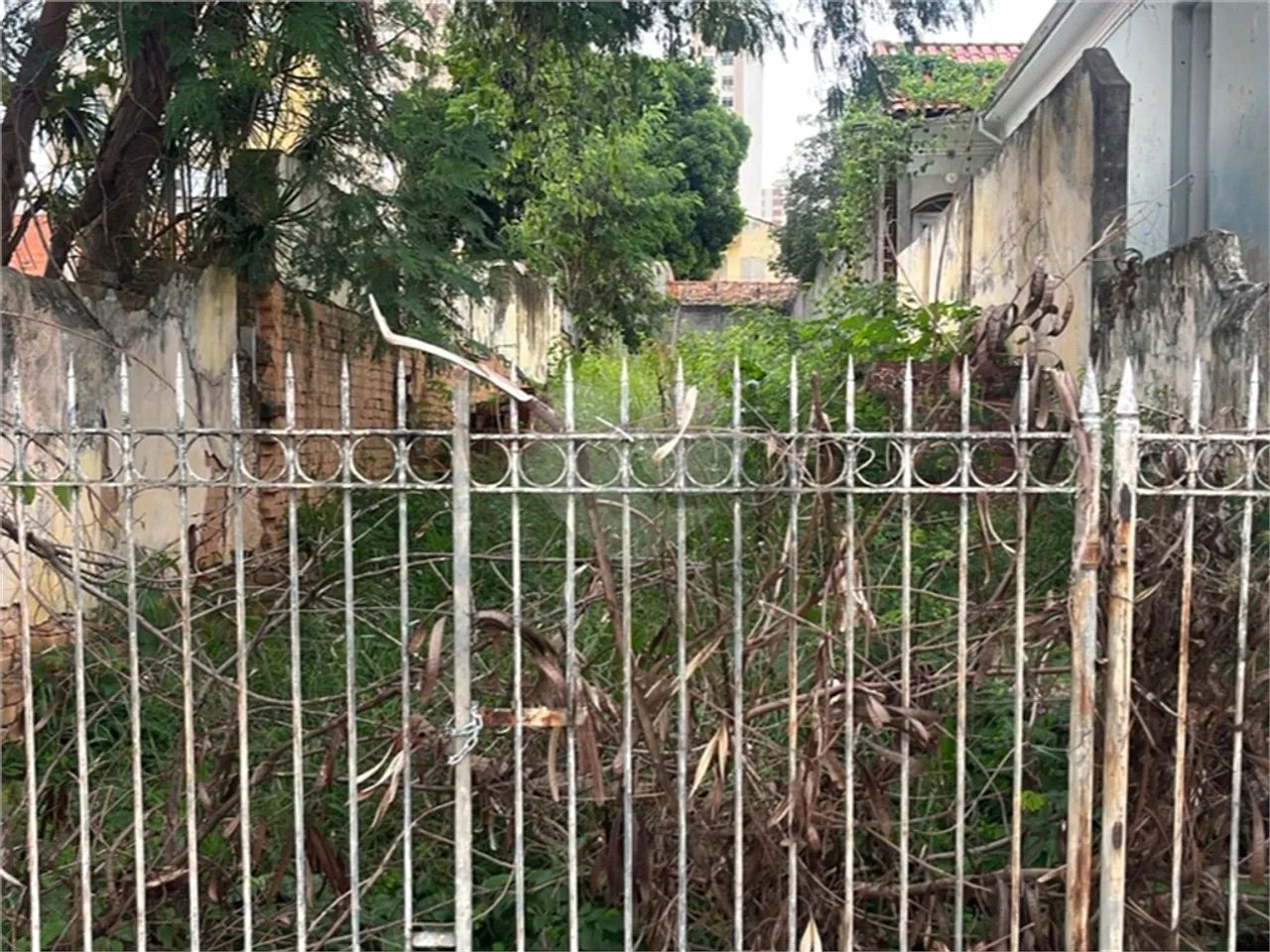 Terreno à venda no Centro de Sorocaba/SP - Foto 3