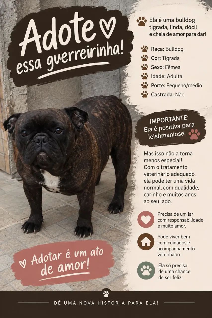 BULLDOG FRANCES