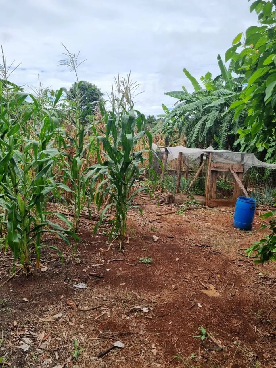 Oportunidade!! Vendo terreno no  Lago Azul   - Foto 7