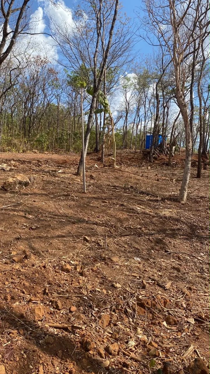 Vende se chácara próximo a caldazinha e região  - Foto 3