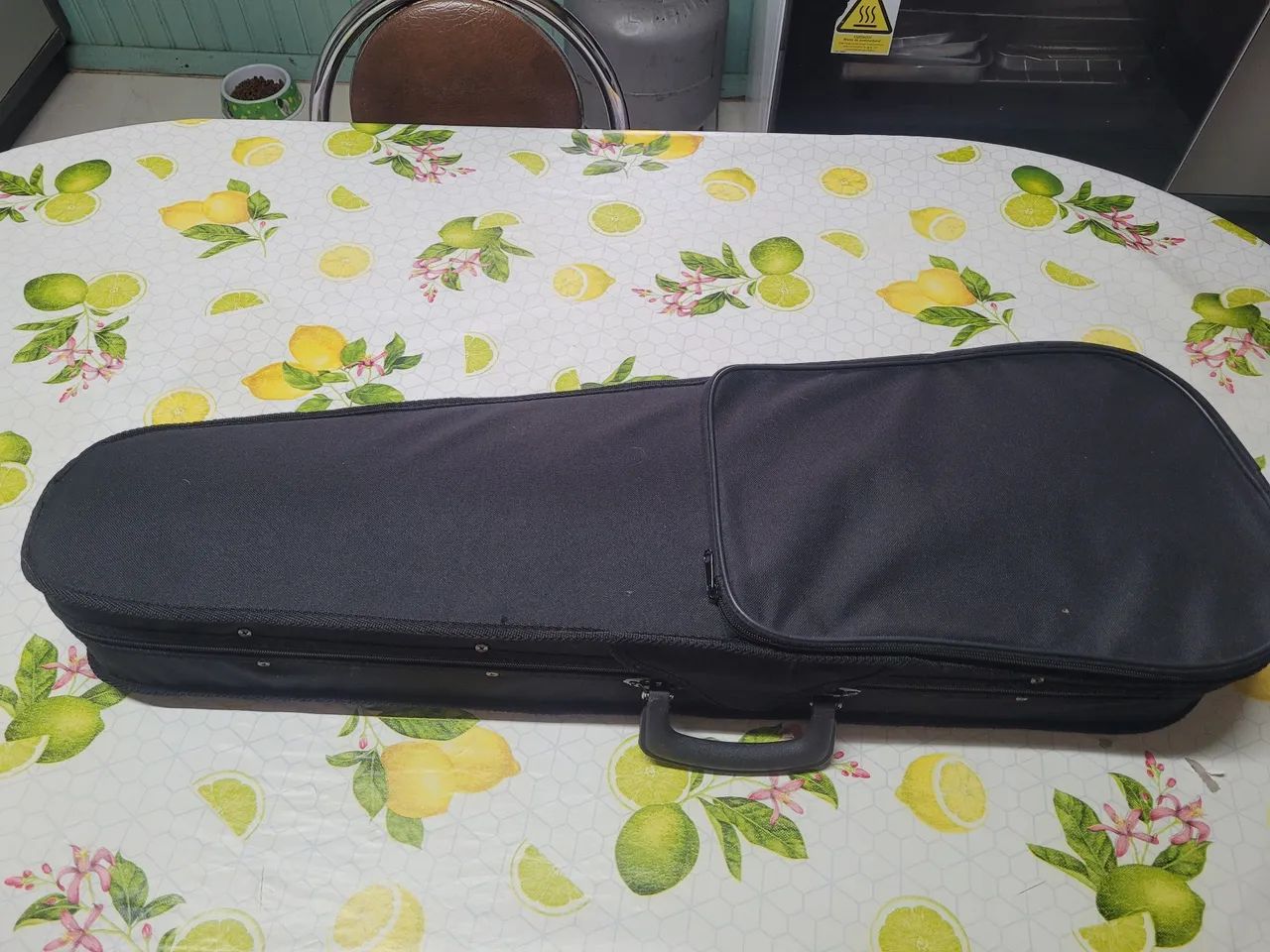 Violino Parrot  - Foto 4