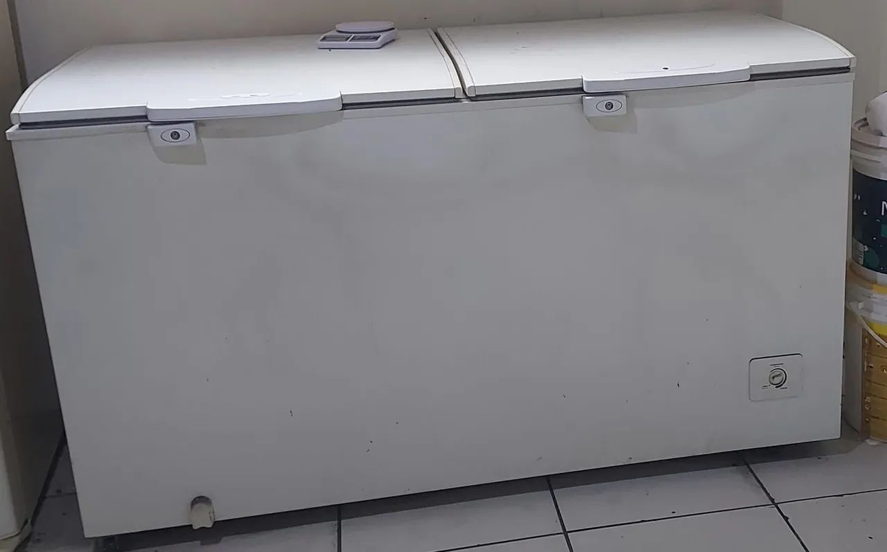 Freezer Electrolux H550