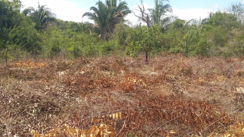 Terreno, com 1600m², excelente para chácara  - Foto 3