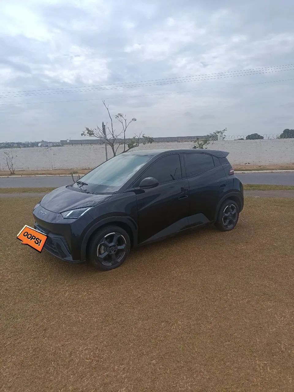 BYD Dolphin Mini (Elétrico) 2025