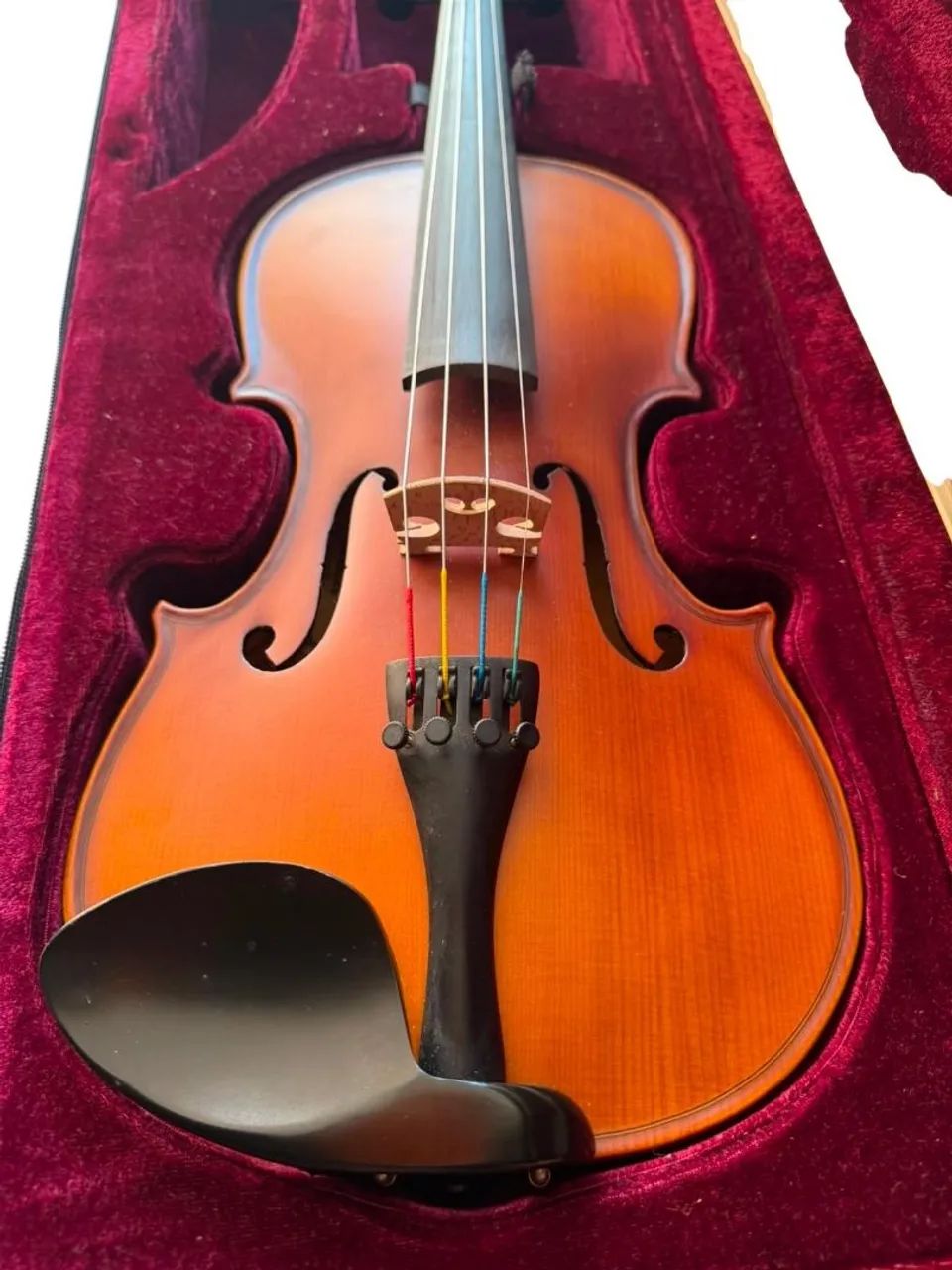 Violino 4/4 Completo 