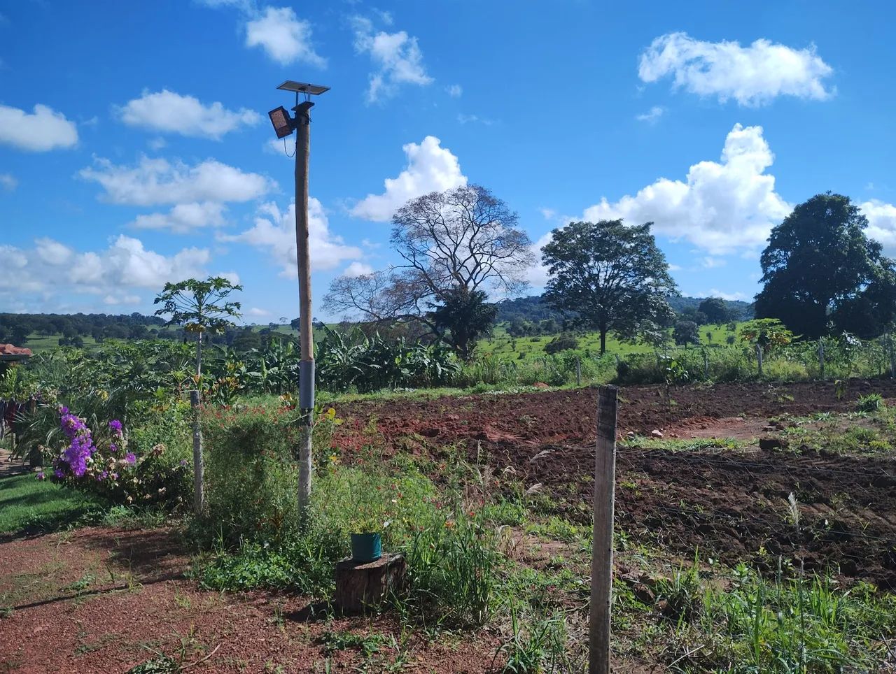 Linda chácara em taquaral de Goiás  - Foto 4
