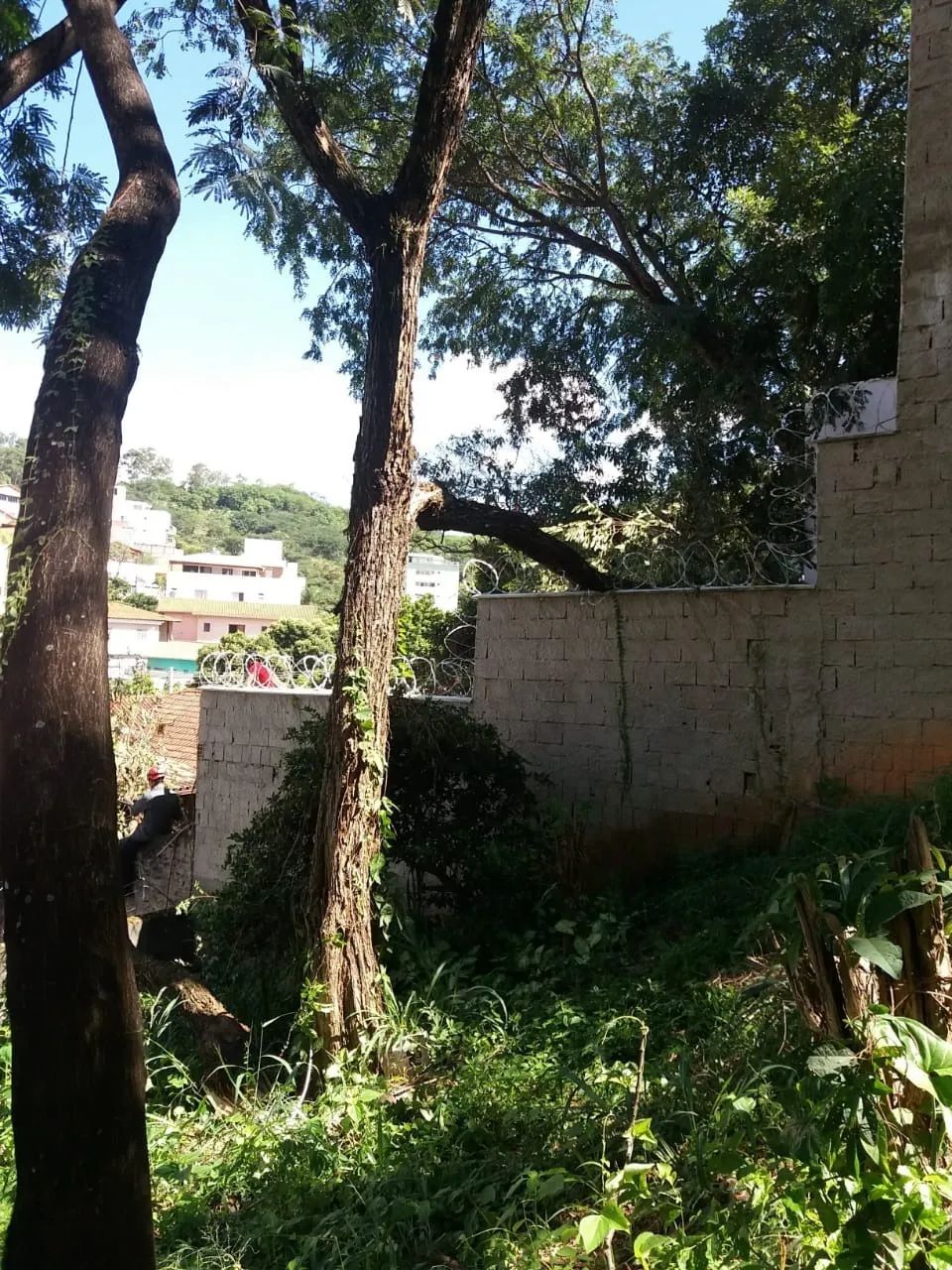 LOTE PARA ALUGUEL NO ÁLVARO CAMARGOS - Foto 3