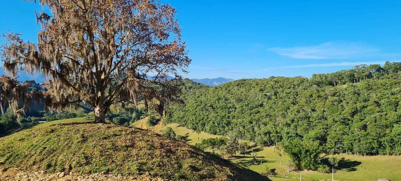 Sitio com linda vista em Águas Mornas - SC - Foto 4