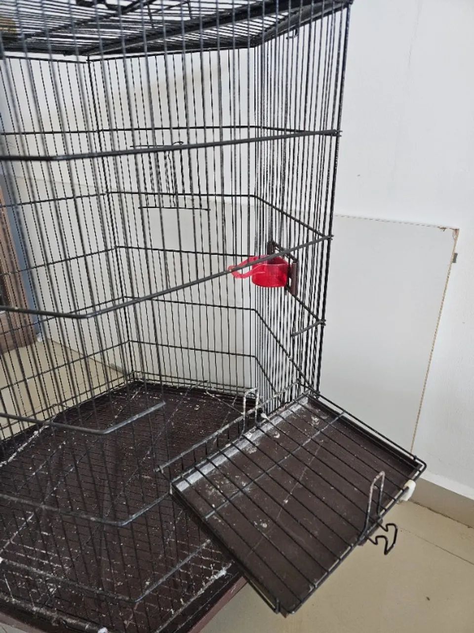 GAIOLA 6 LADOS - Foto 3