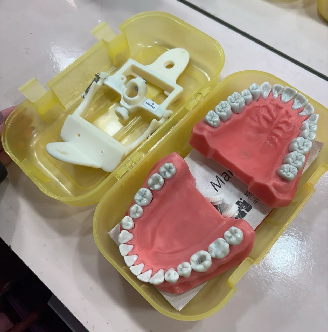     Manequim de Dentística (Pouco Usado) - Foto 5