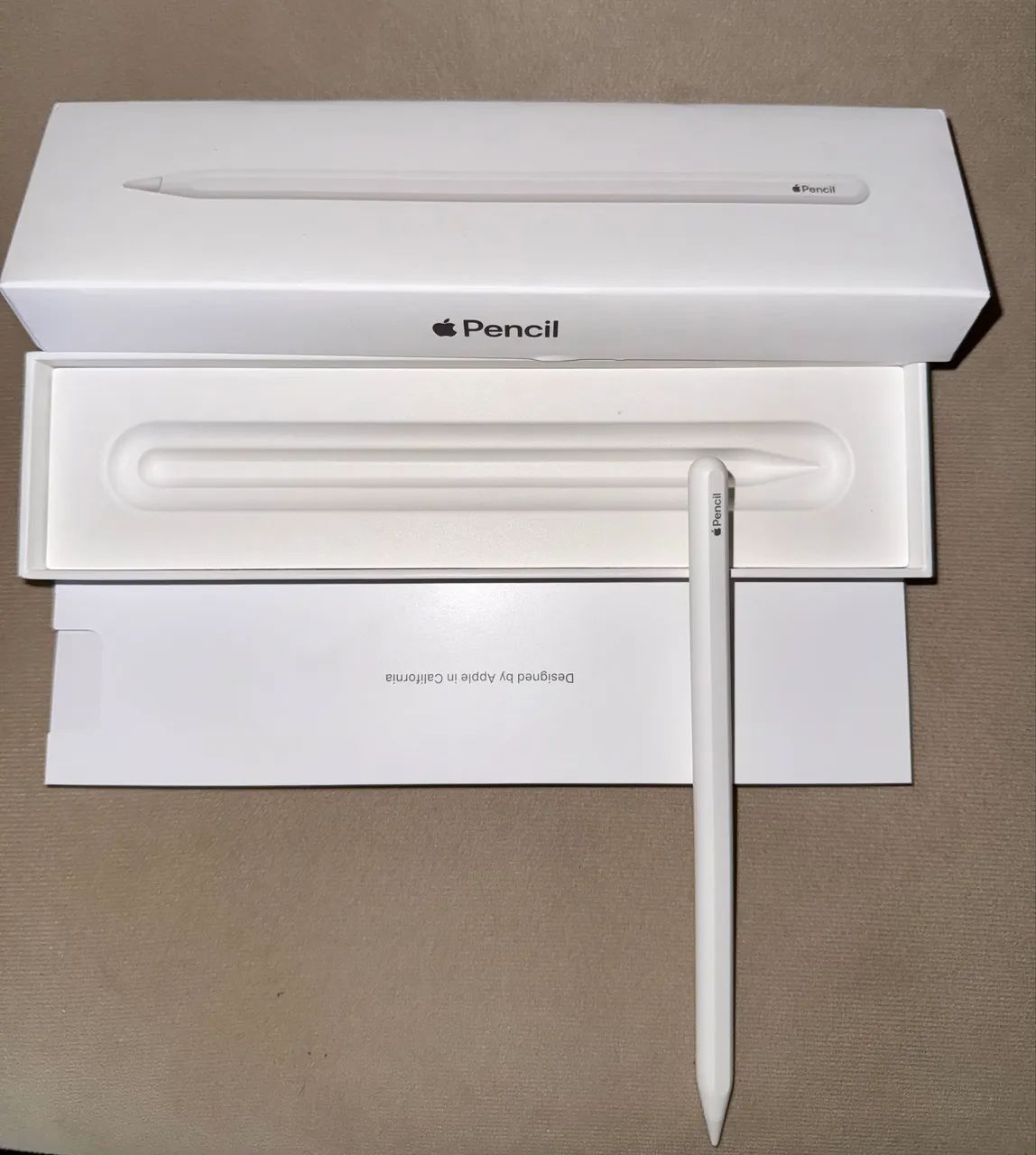 Apple Pencil 2ª Geração Original Apple (Modelo A2051)