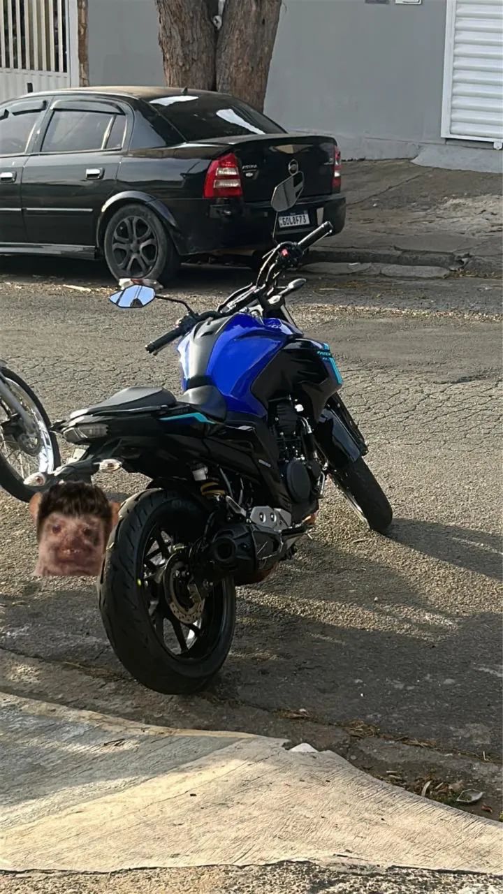 Fz 250 - Foto 2