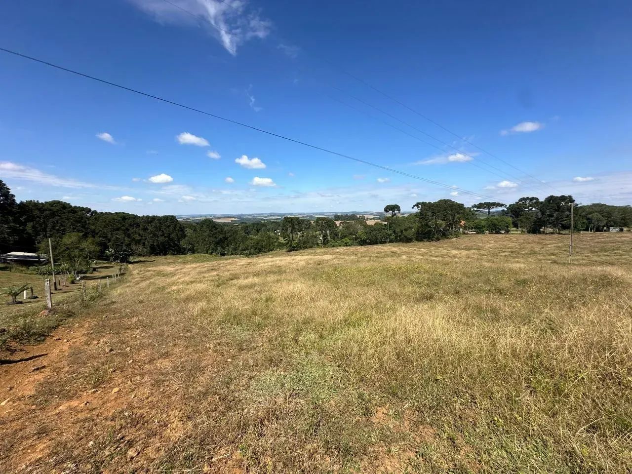 Chácara com fácil acesso, 32.000 m² e com bosque em Porto Amazonas - Cód. 05.014 - Foto 5