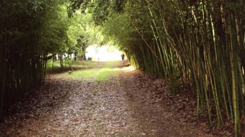 Sítio em Suzano SP - Foto 3