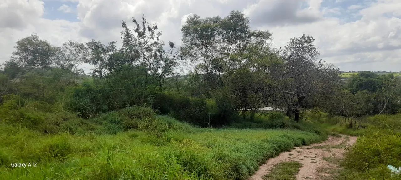 ÓTIMO TERRENO NO SÍTIO TABULEIRO COM MAIS DE UMA HECTARIA. - Foto 3