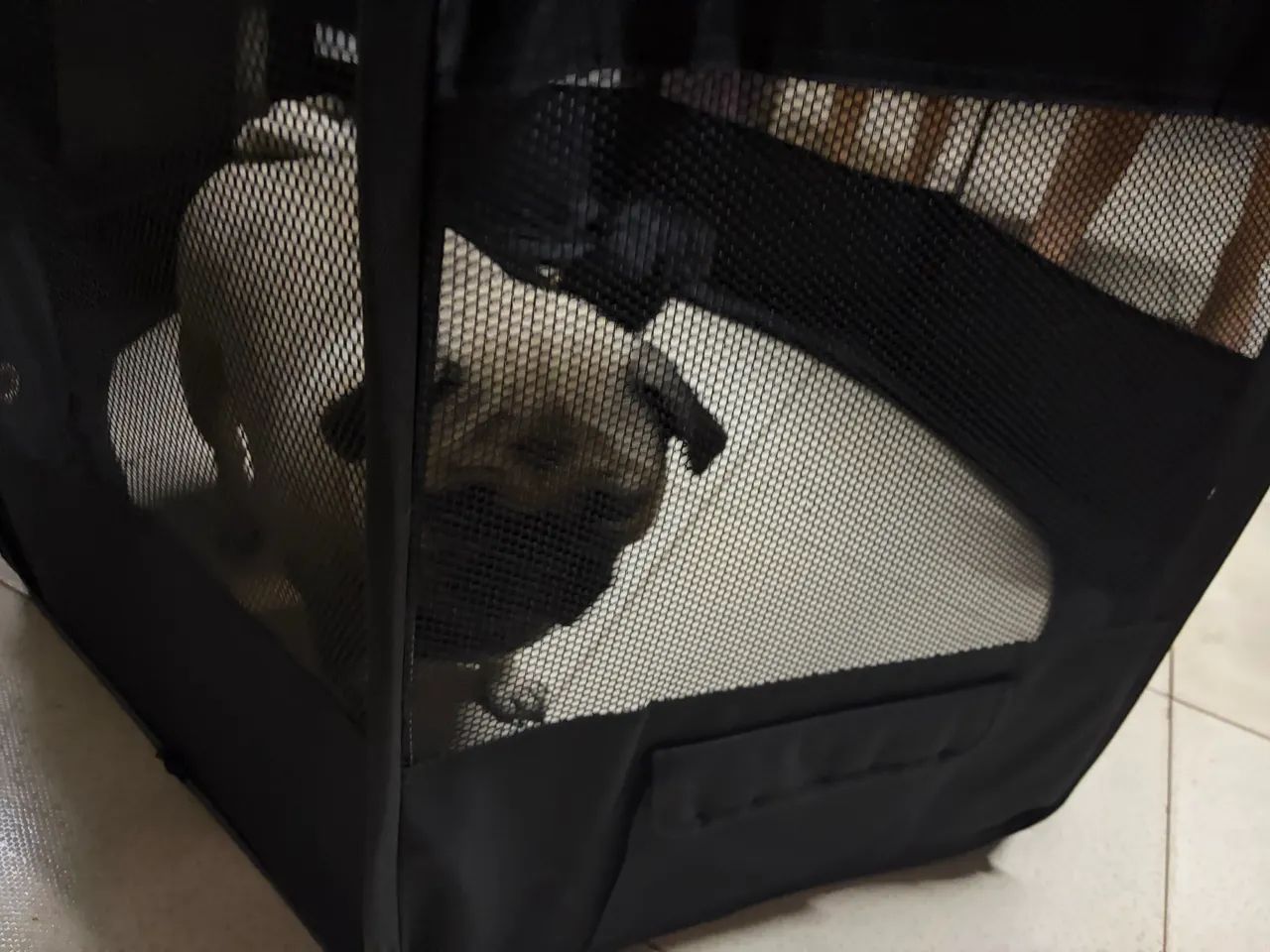 Cercadinho de pet - Foto 4