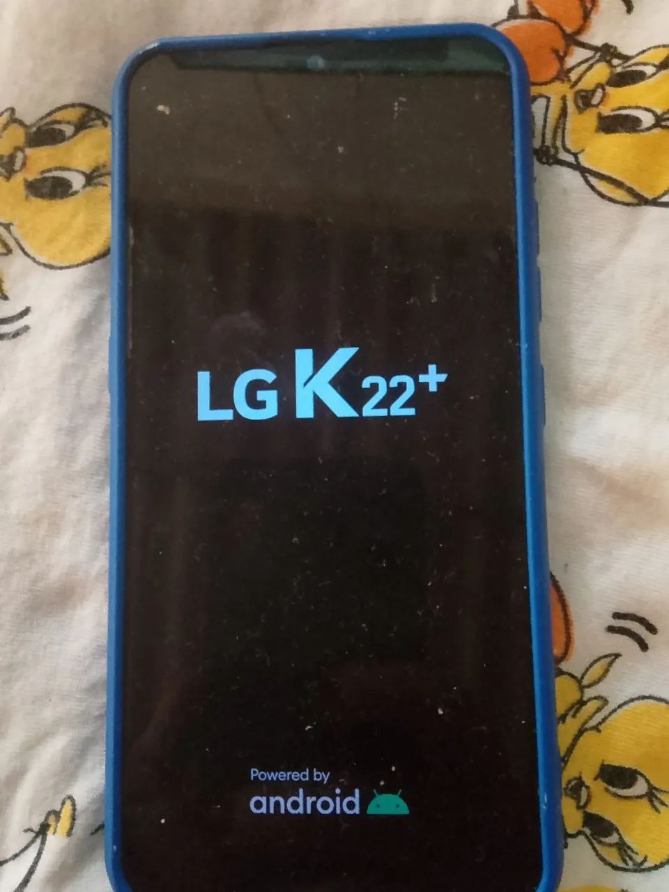 Lgk22