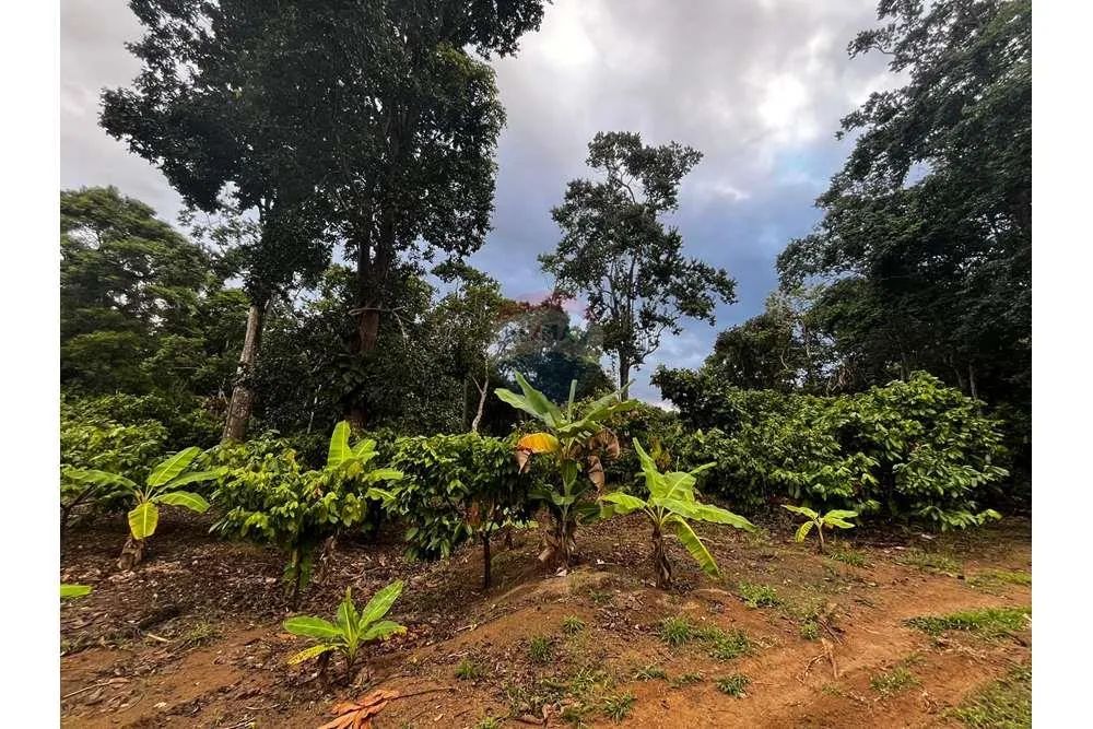 VENDO UM SITIO EM ITAMARAJU BAHIA - Foto 5
