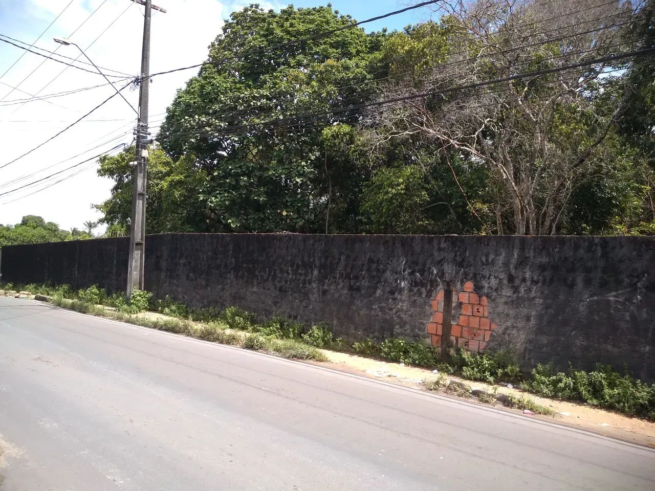 Terreno Na Colonia Santo Antonio - Foto 2