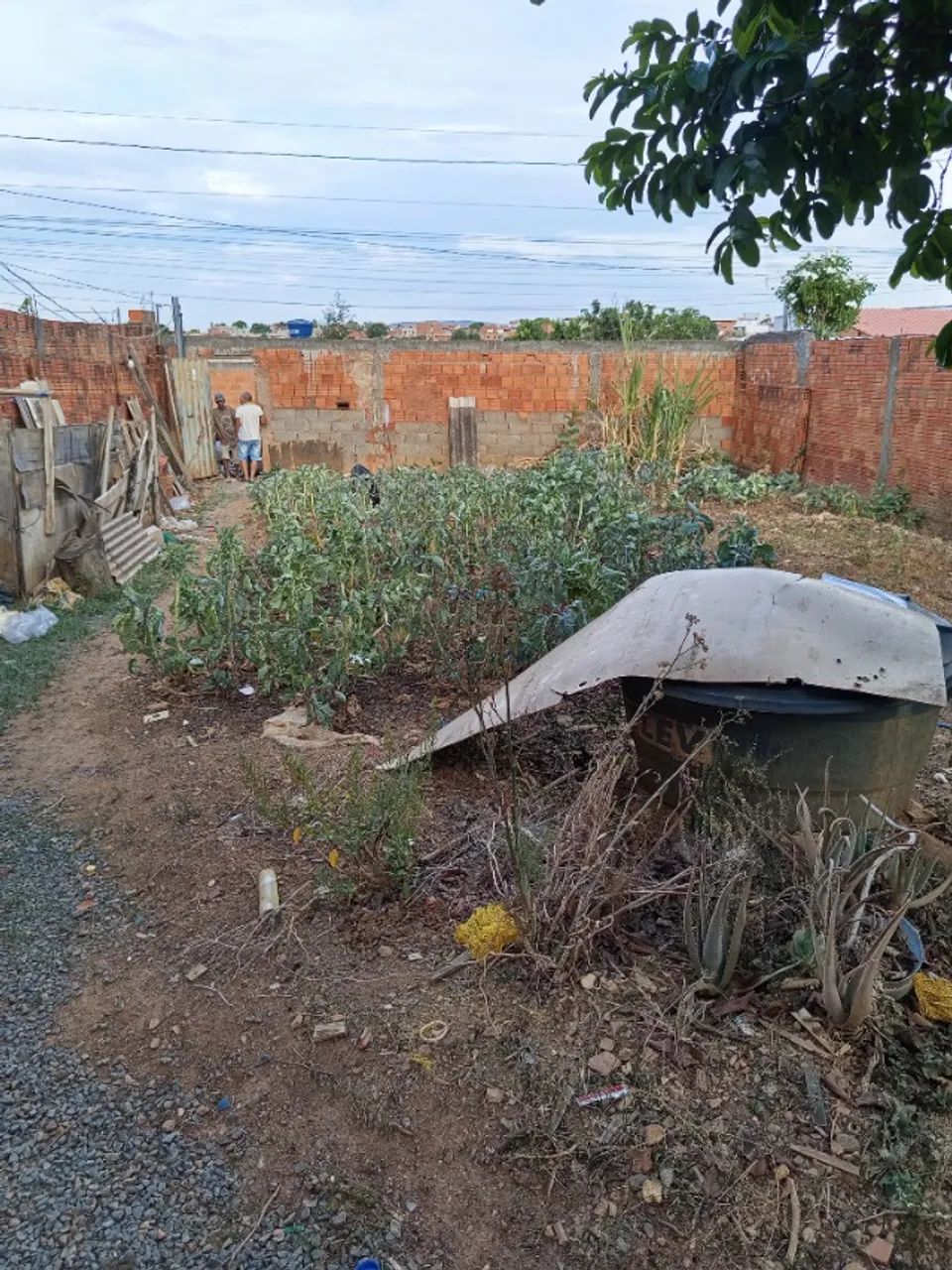 Lote com barracão  - Foto 2