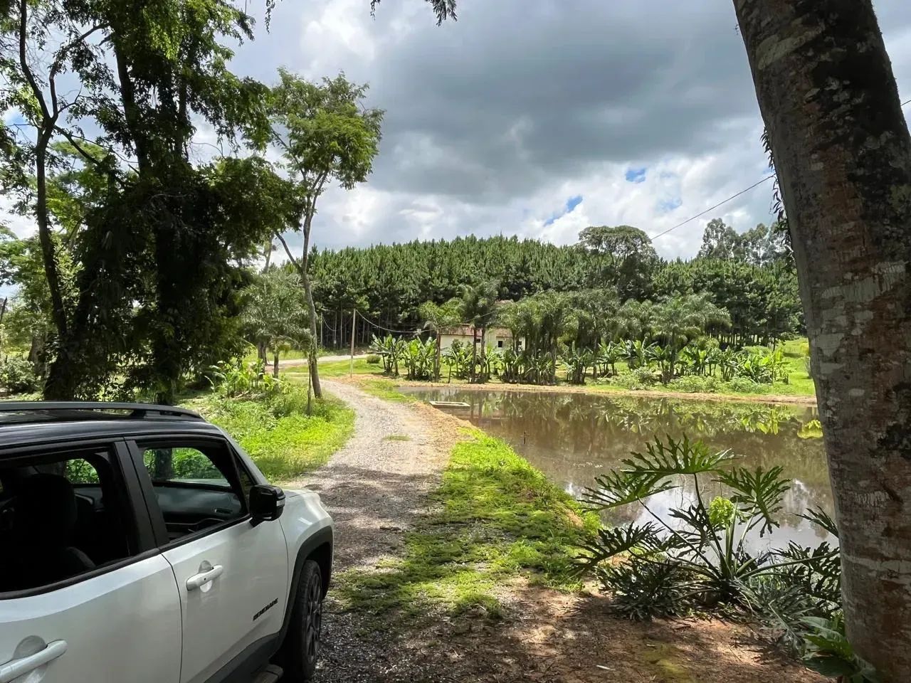 FAZENDA SOL NASCENTE - Foto 5