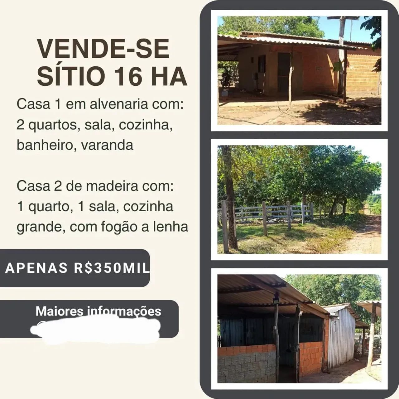 sitio de 16 hectares 350 - Foto 3