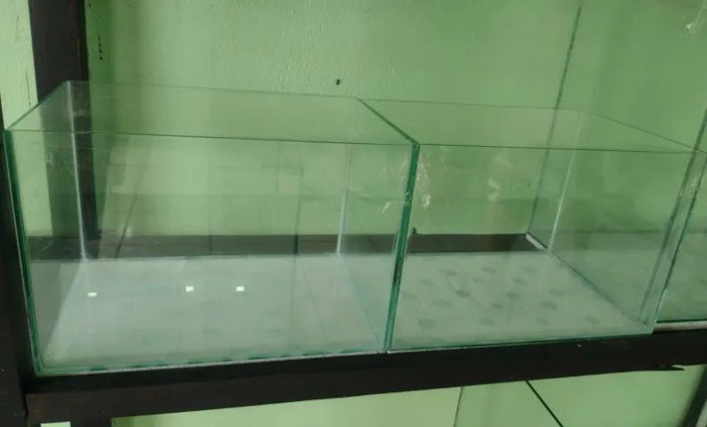 Aquário de 12L. NOVO! - Foto 3